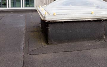 disadvantages of Turners Puddle flat roofs
