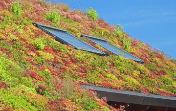 Turners Puddle living roof systems