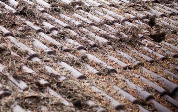 Turners Puddle roof cleaning companies