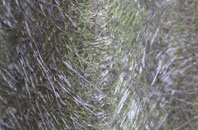 Turners Puddle fibreglass roof work